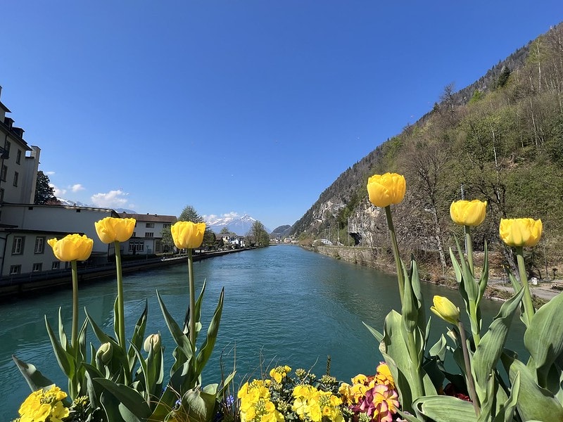 20251102-6t7bk 20251102-6t7bk