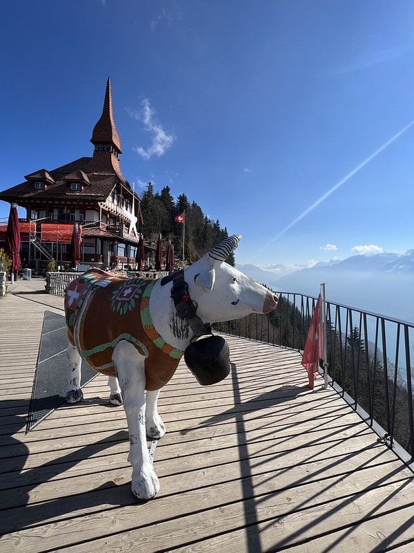 20251102-dvl1b 20251102-dvl1b