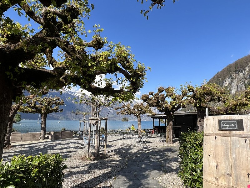 20251102-ifa1y 20251102-ifa1y