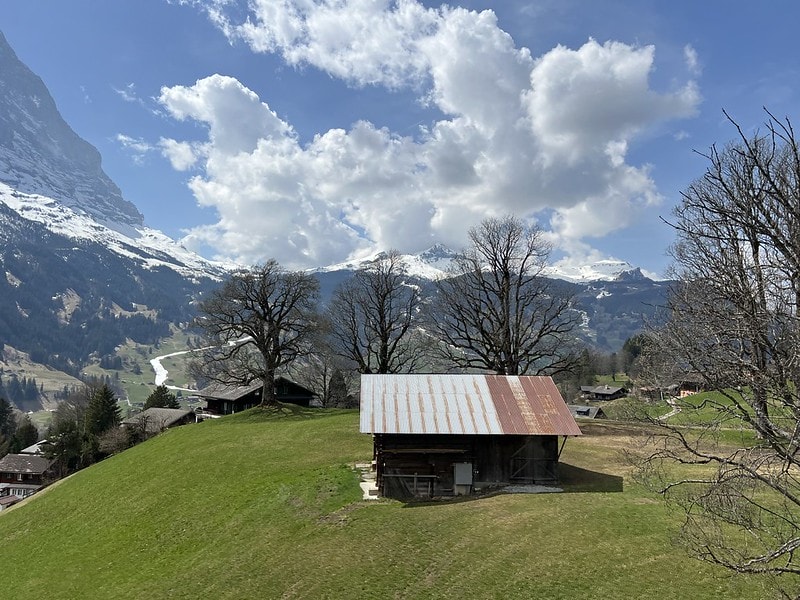 20251102-n73cd 20251102-n73cd