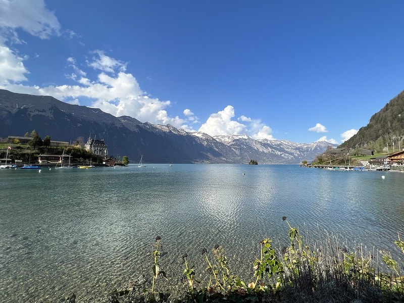 20251102-niifi 20251102-niifi