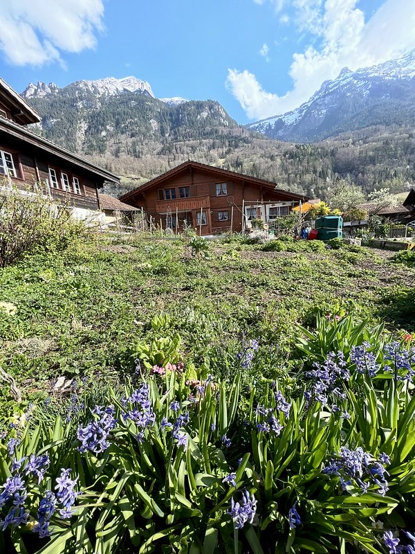 20251102-rehh7 20251102-rehh7