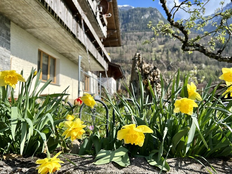 20251102-wqo4g 20251102-wqo4g