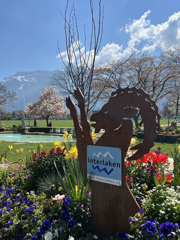 20251102-ysjq8 20251102-ysjq8