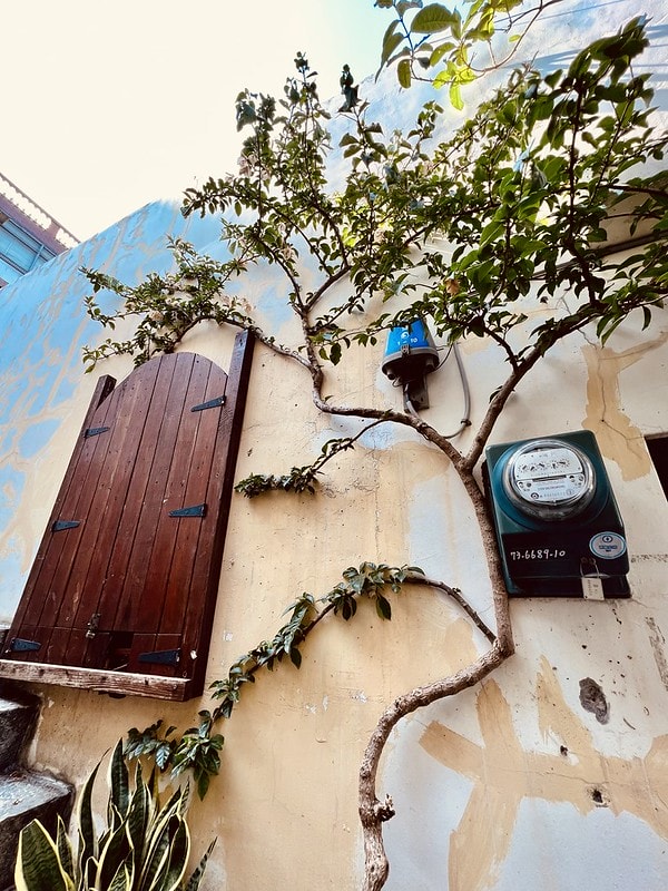 20251102-b9pjq 20251102-b9pjq