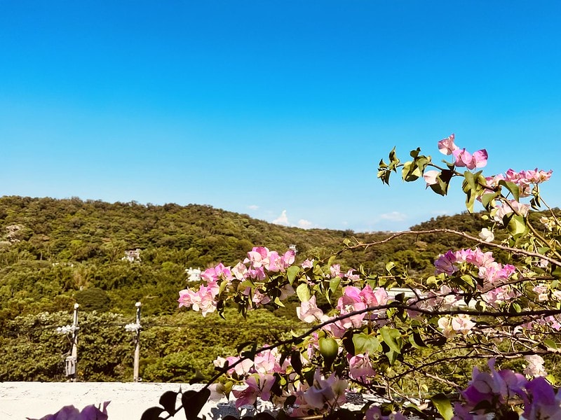 20251102-d85bd 20251102-d85bd