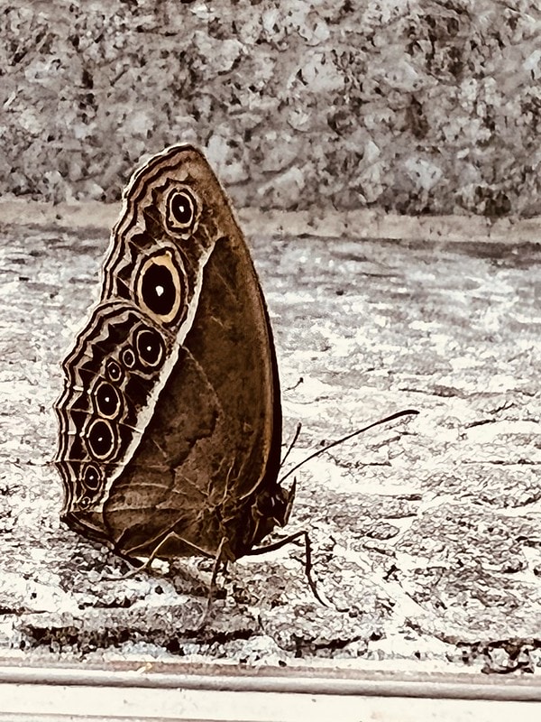 20251102-h6ag3 20251102-h6ag3