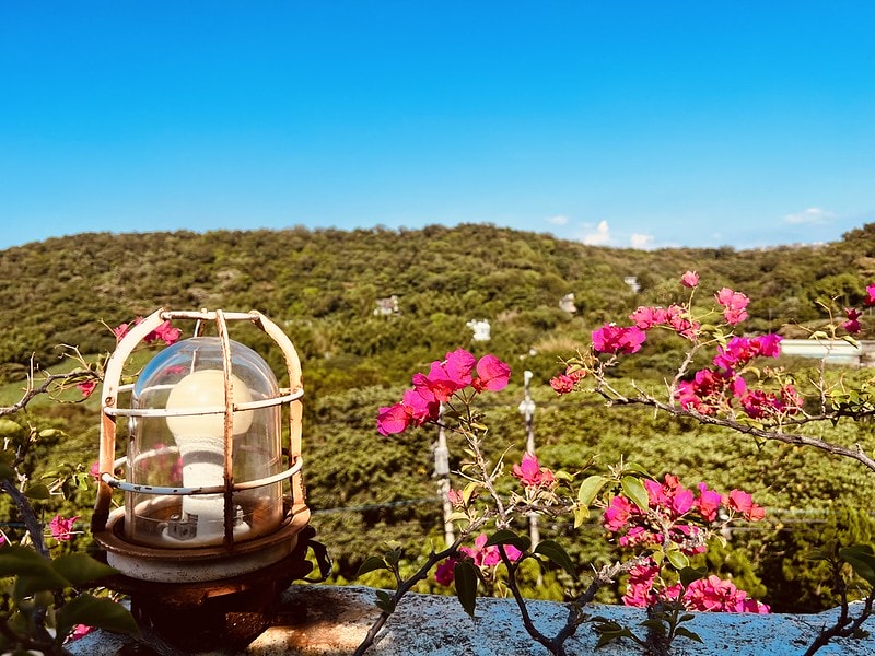 20251102-oyz72 20251102-oyz72