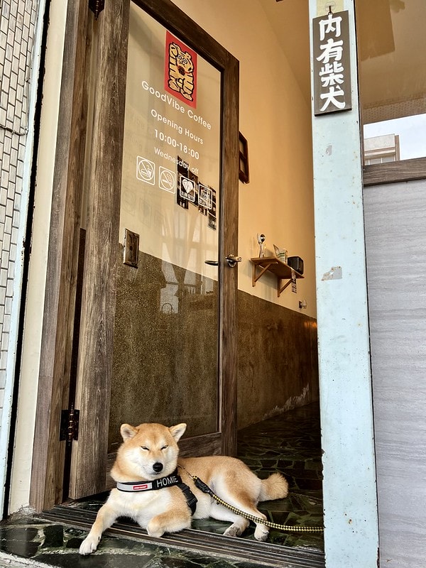 20251102-a4i5v 20251102-a4i5v