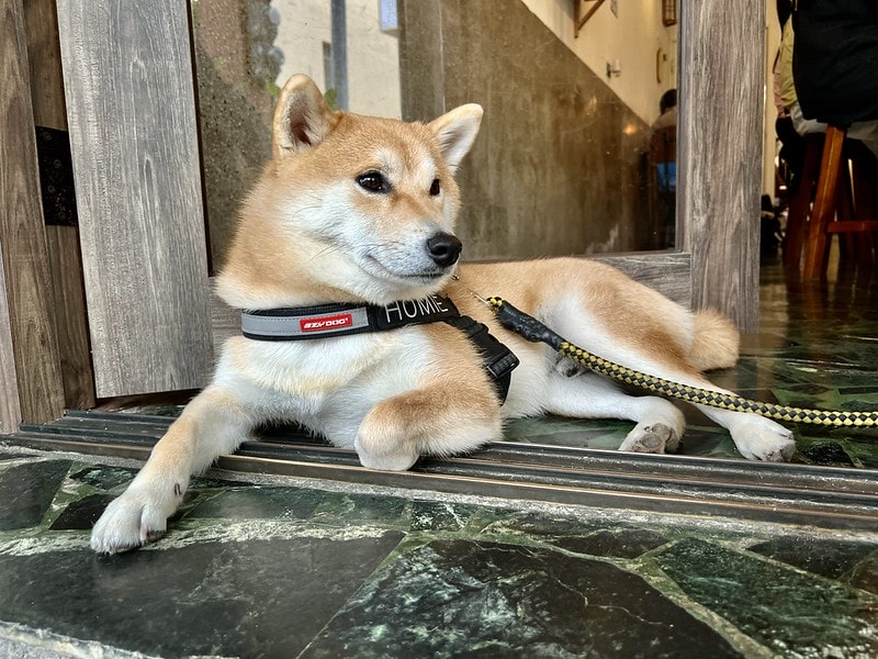 20251102-v5o7u 20251102-v5o7u