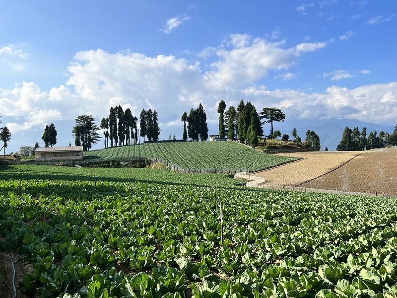 20251102-1eow2 20251102-1eow2