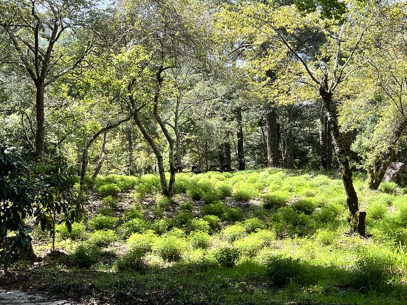 20251102-1kh7p 20251102-1kh7p