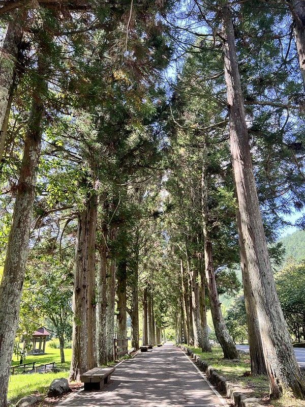 20251102-1vwu4 20251102-1vwu4