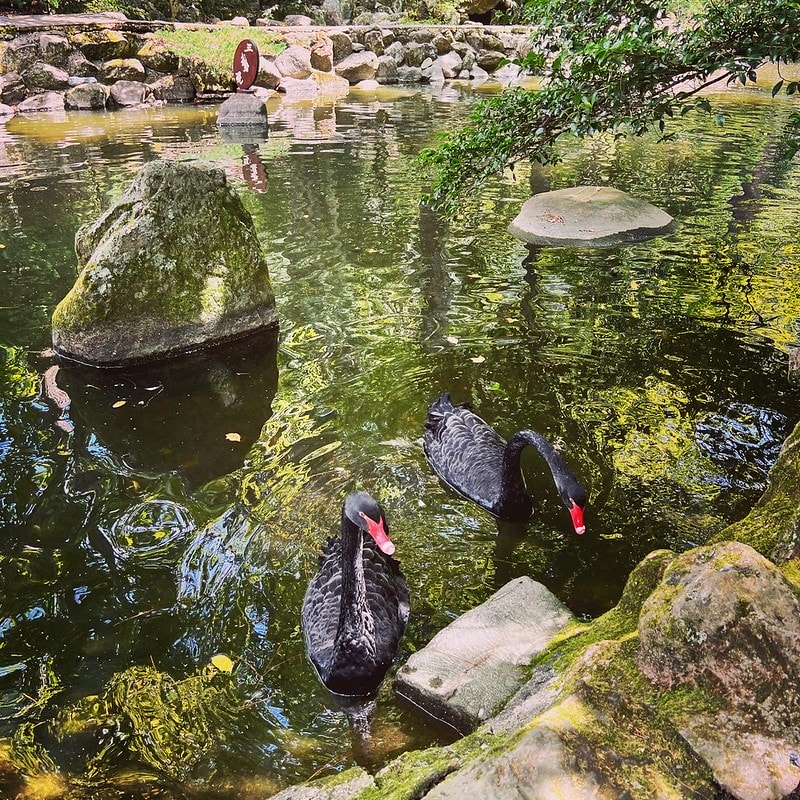 20251102-7qjao 20251102-7qjao