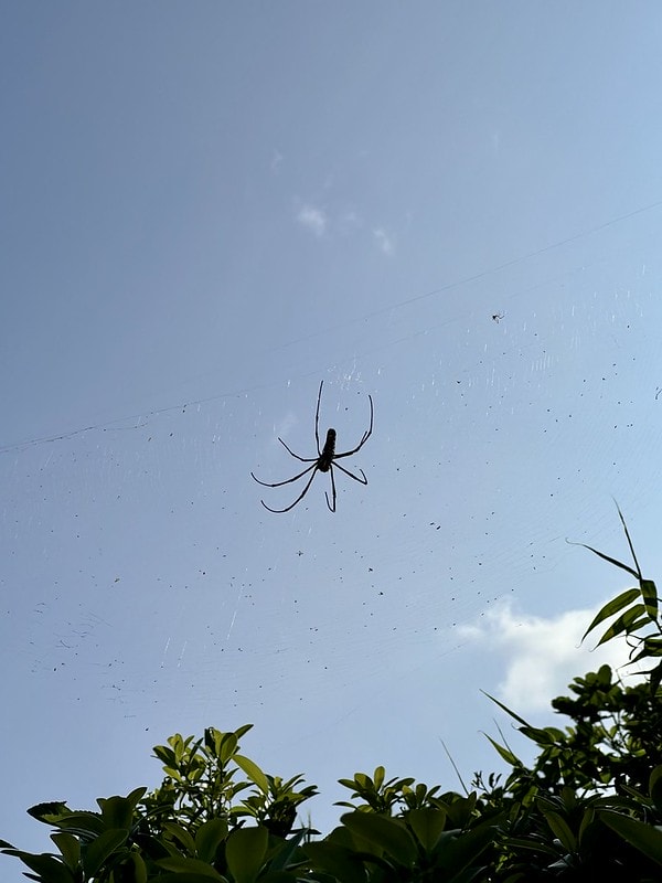 20251102-82rps 20251102-82rps