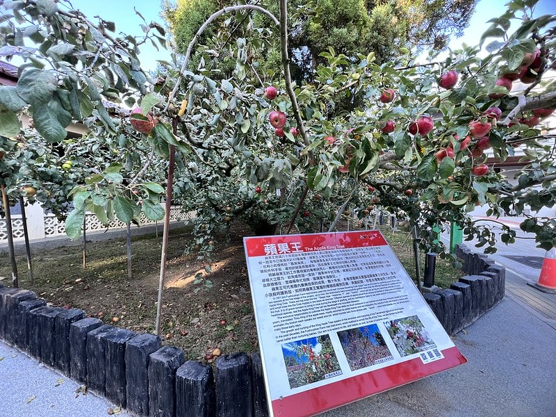 20251102-cxpez 20251102-cxpez