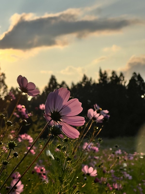 20251102-gf131 20251102-gf131