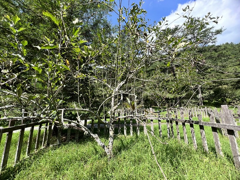 20251102-hlstf 20251102-hlstf