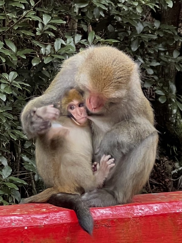 20251102-jbstp 20251102-jbstp