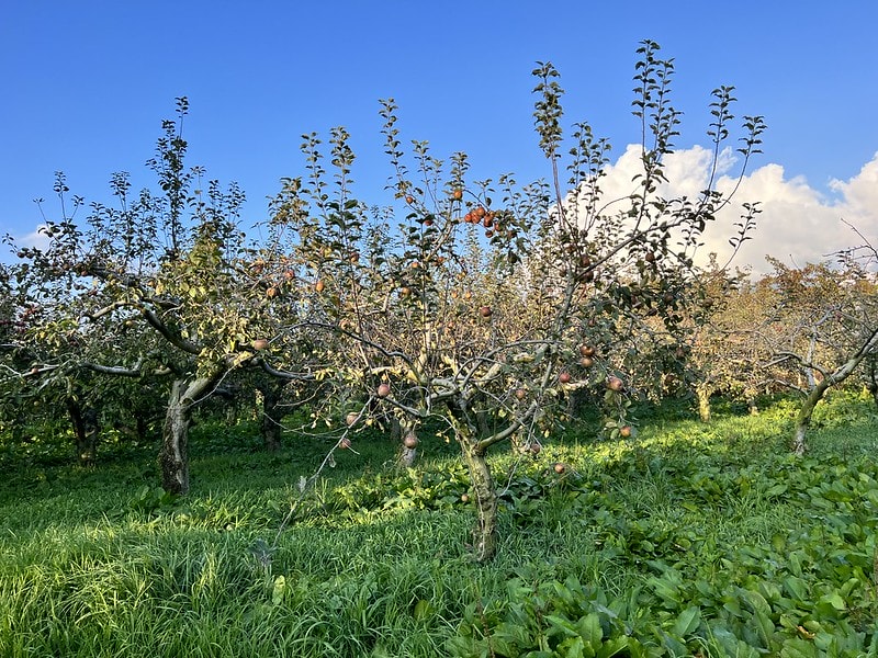 20251102-laser 20251102-laser