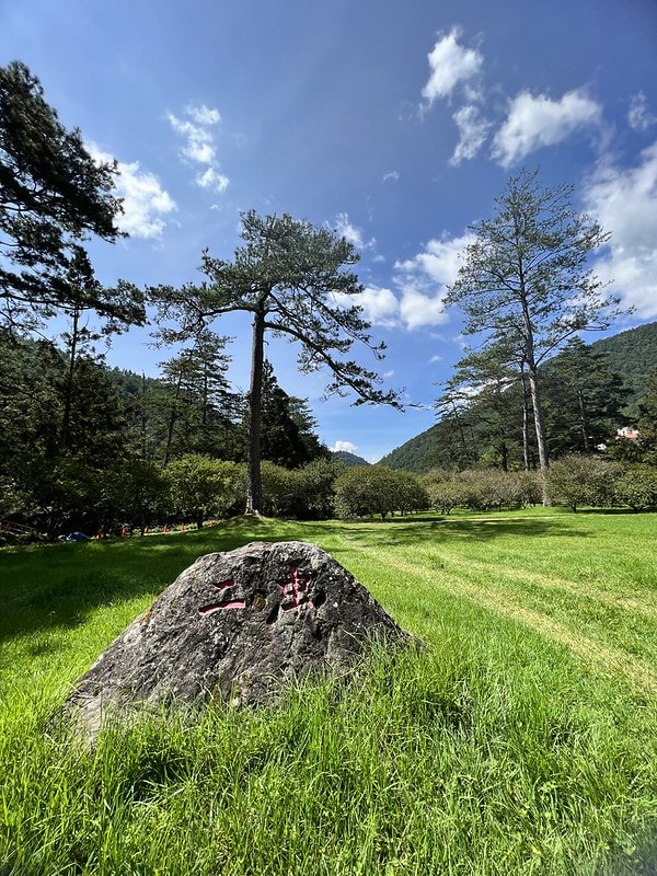 20251102-p28zt 20251102-p28zt