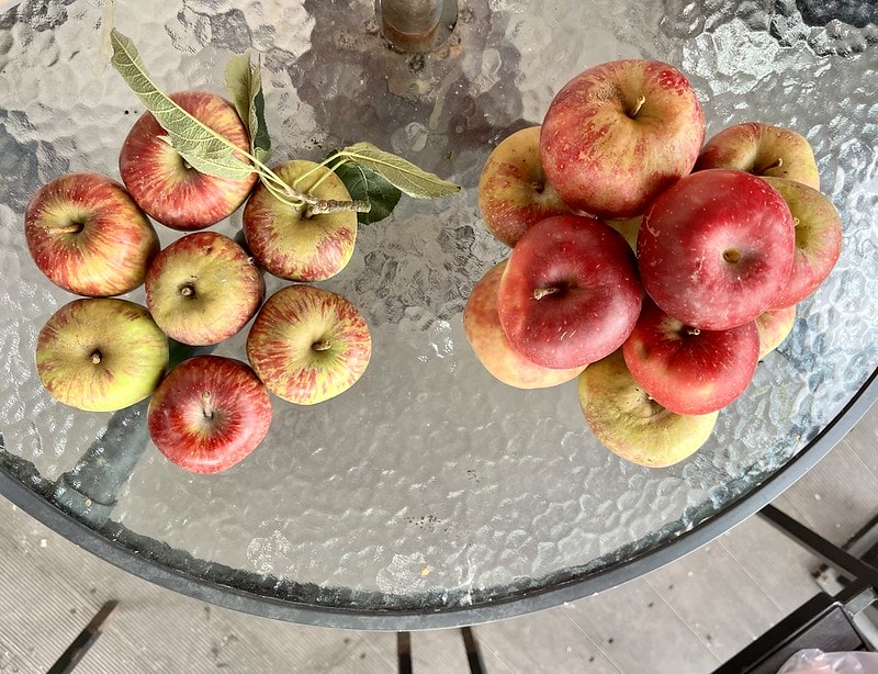 20251102-tcw97 20251102-tcw97