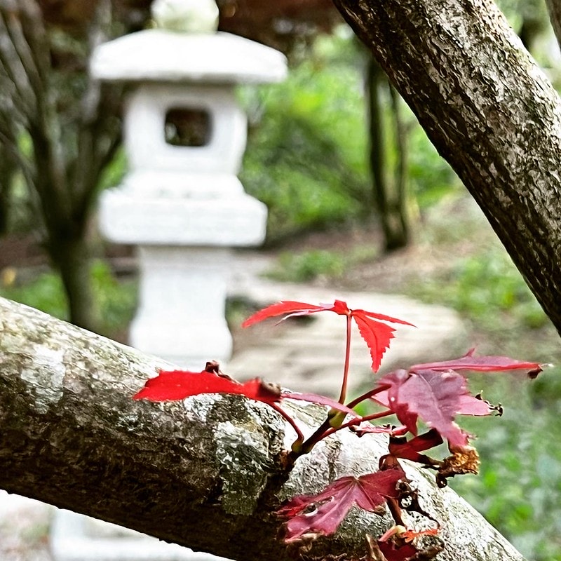 20251102-wmvk8 20251102-wmvk8