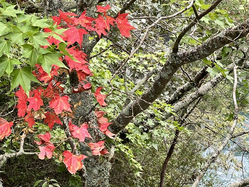 20251102-yuocp 20251102-yuocp