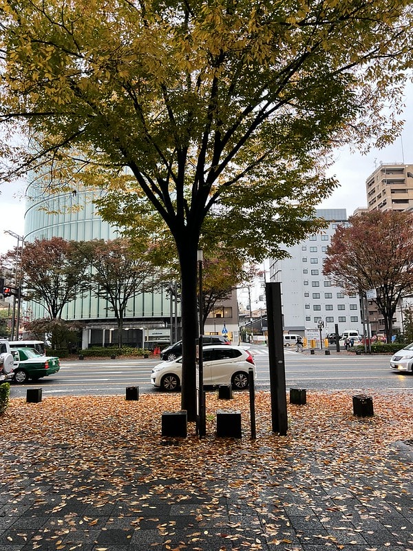 20251102-ntjhe 20251102-ntjhe