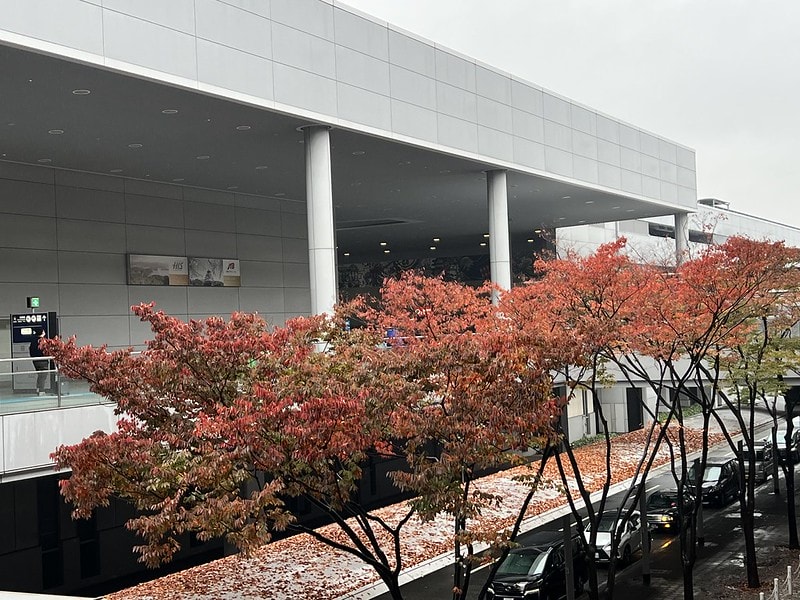 20251102-wh8o0 20251102-wh8o0