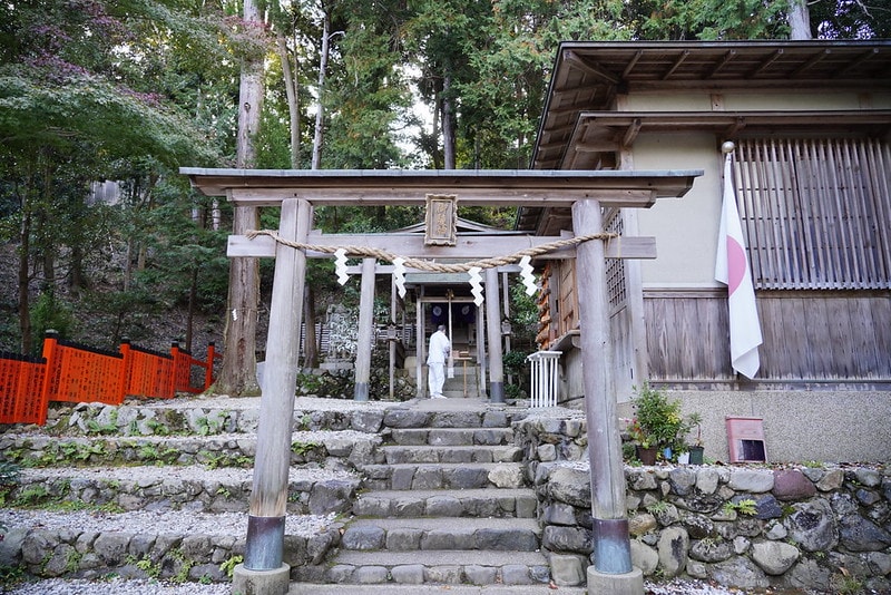 20251102-4z0os 20251102-4z0os