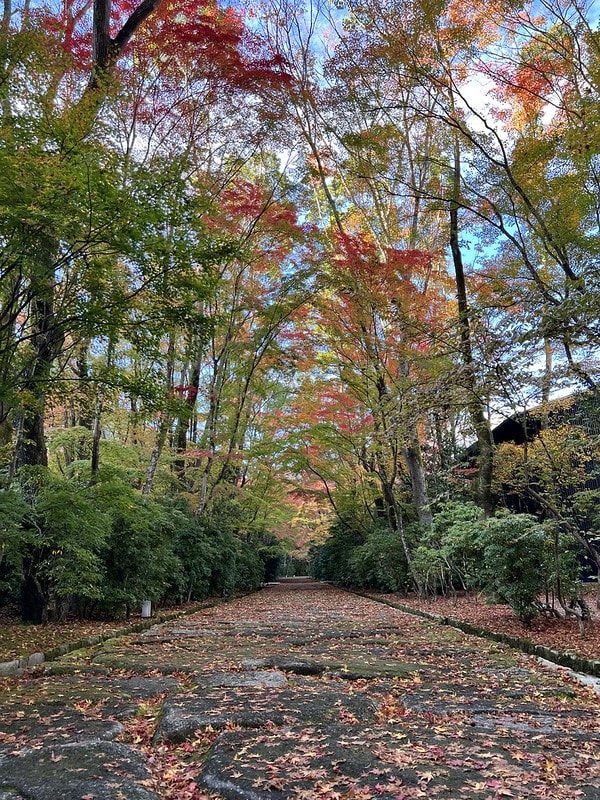 20251102-62tf5 20251102-62tf5