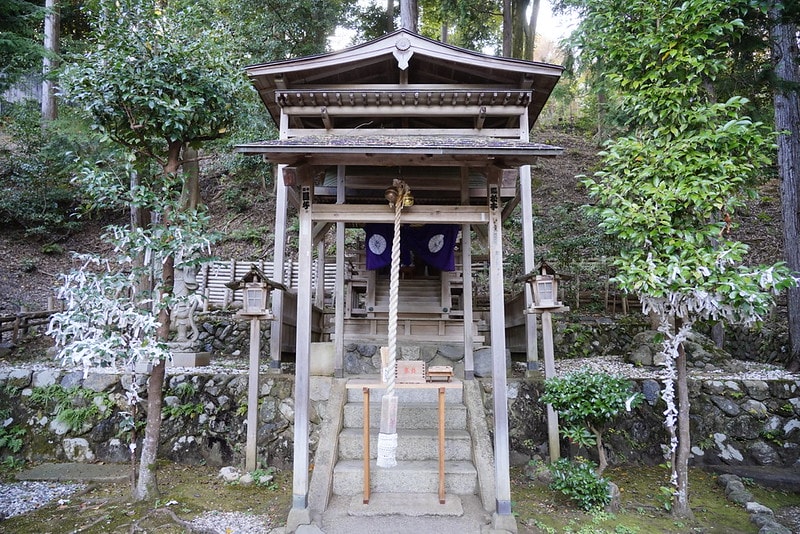 20251102-774g2 20251102-774g2