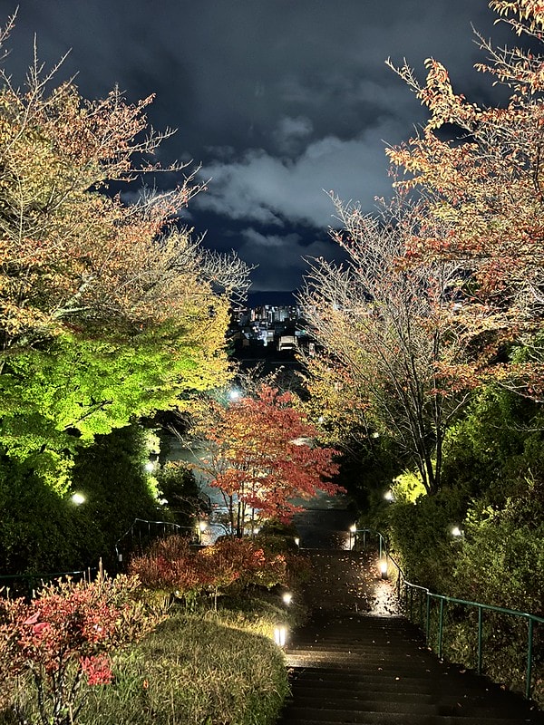 20251102-8jjh8 20251102-8jjh8