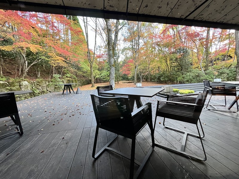 20251102-acyog 20251102-acyog