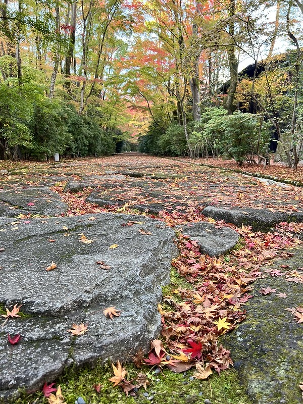 20251102-f7u2v 20251102-f7u2v