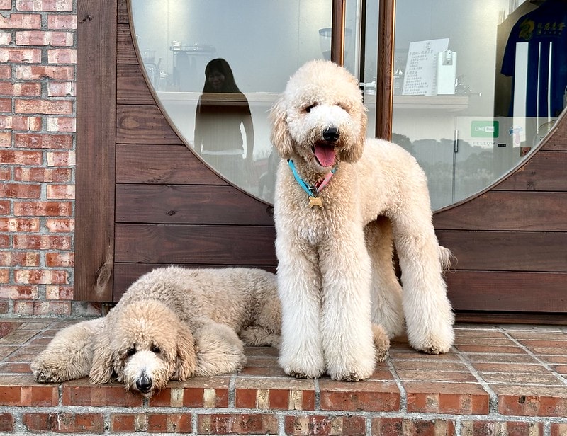 20251102-ft9yw 20251102-ft9yw