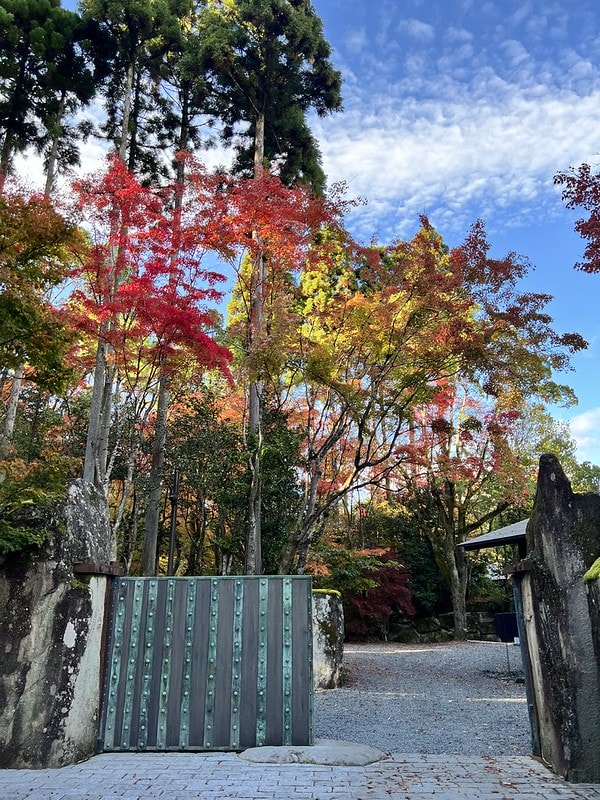 20251102-ggj2k 20251102-ggj2k