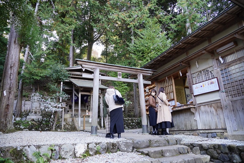 20251102-mwlc5 20251102-mwlc5