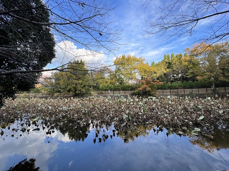 20251102-qbp2k 20251102-qbp2k