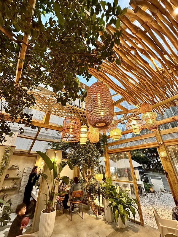 20251102-50xc6 20251102-50xc6