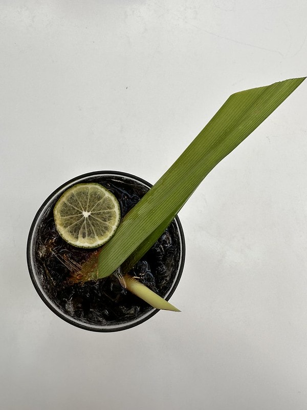 20251102-fof8c 20251102-fof8c