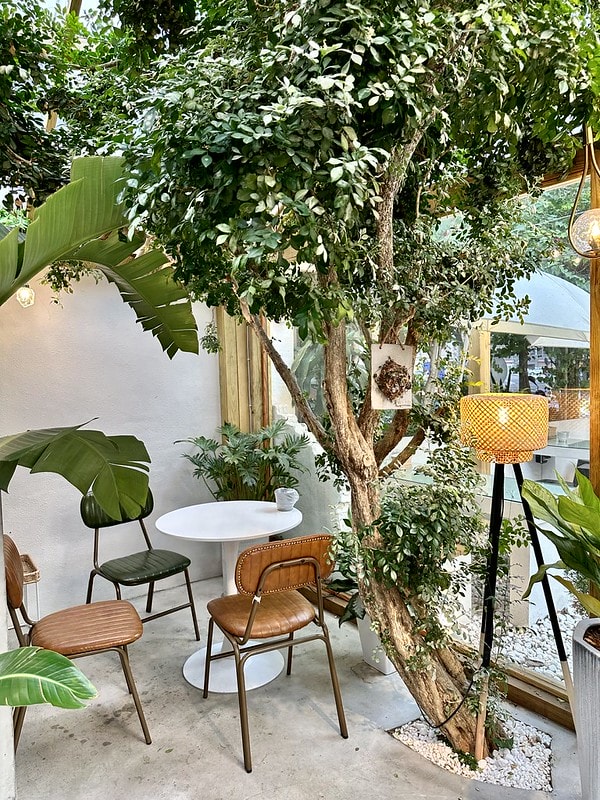 20251102-fy5p6 20251102-fy5p6