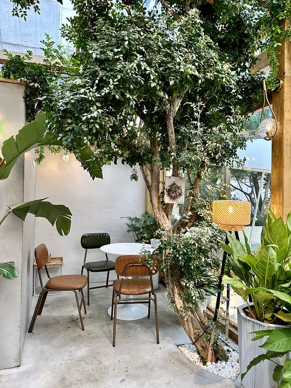 20251102-twe8w 20251102-twe8w