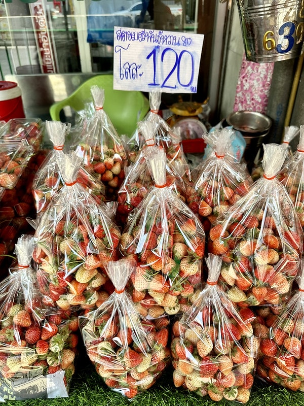 20251102-q1nh8 20251102-q1nh8