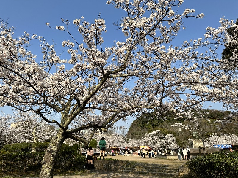 20251102-0g1wu 20251102-0g1wu