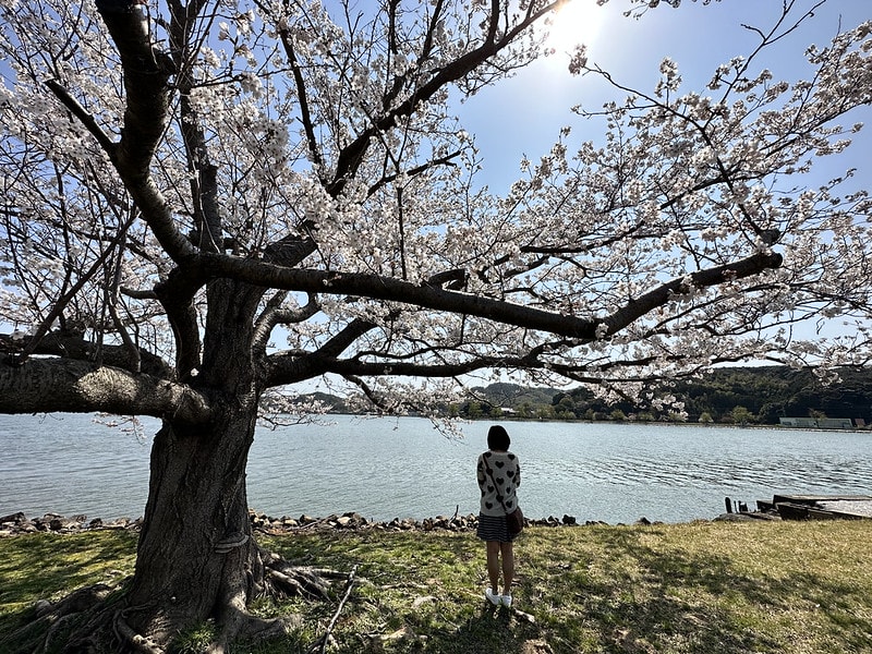 20251102-2rj2y 20251102-2rj2y