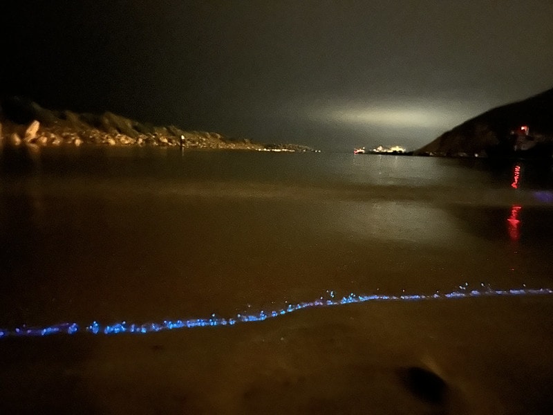 20251102-2w313 20251102-2w313