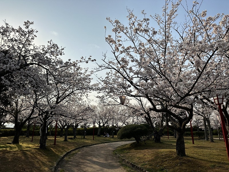 20251102-42mhd 20251102-42mhd