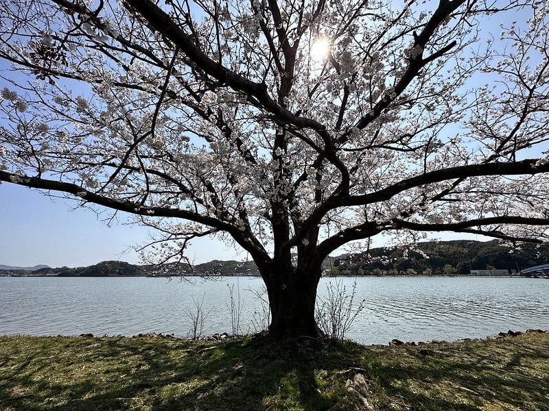 20251102-8lmiu 20251102-8lmiu